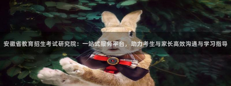 新宝5app手机下载