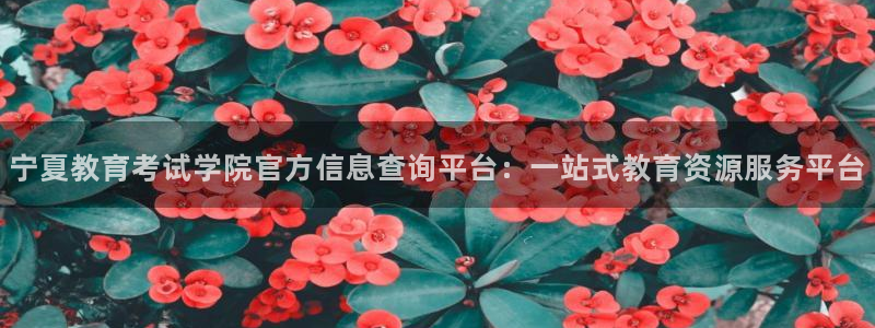 新宝5客户端登录