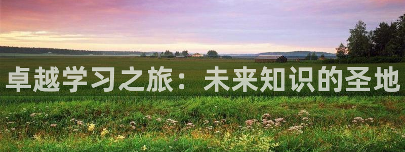 新宝股东王听2 5 5