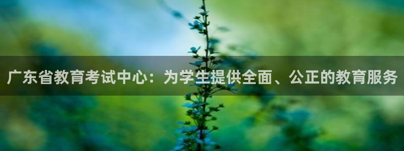 新宝5褚32OO59