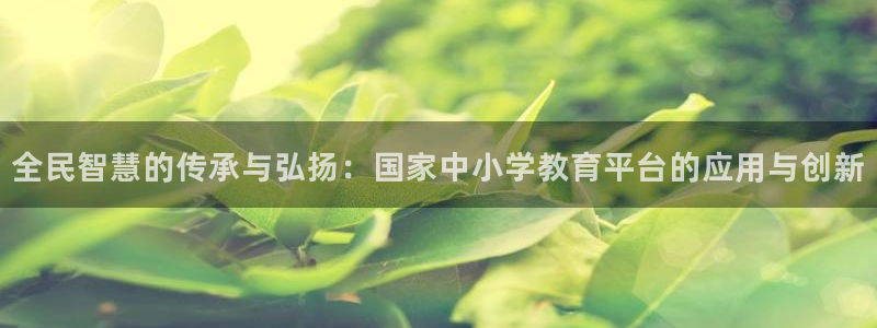 新宝5登陆