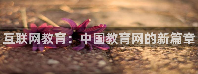 新宝b2O5O5O