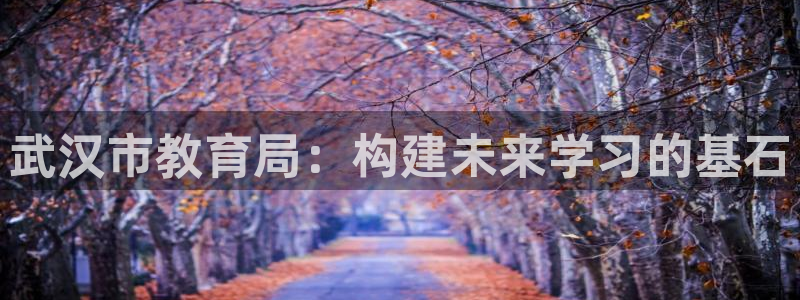 5新宝