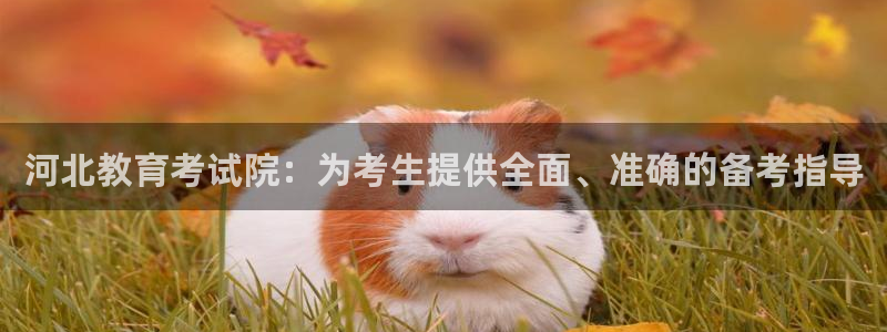 新宝5彩票平台登陆