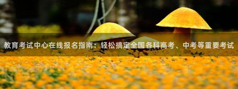 新宝5官网霸