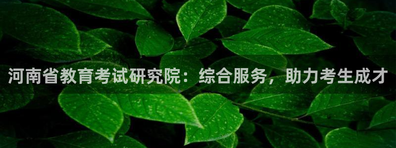 新宝5下载app