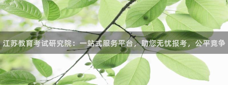 新宝5在哪里