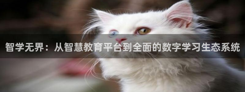 新宝5网