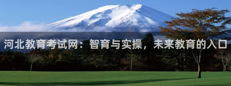 新宝5怎么下载到桌面