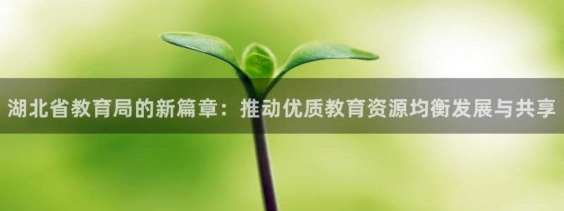 新宝5官网霸