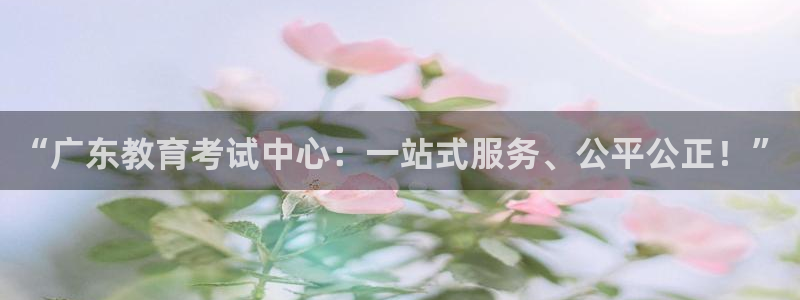 新宝5安卓版
