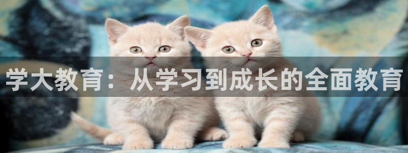 新宝5官网平台