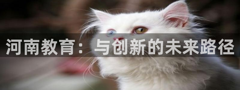 新宝5电脑
