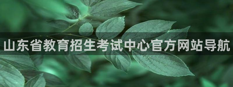 新宝5什么时候上市