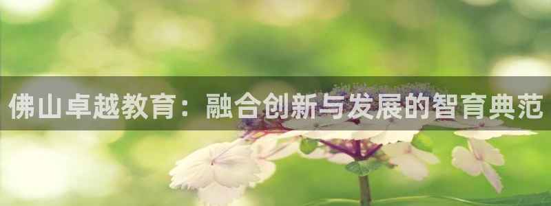新宝5可靠吗