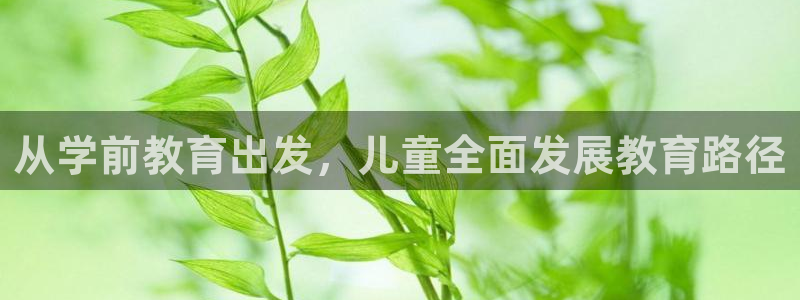 新宝5是谁