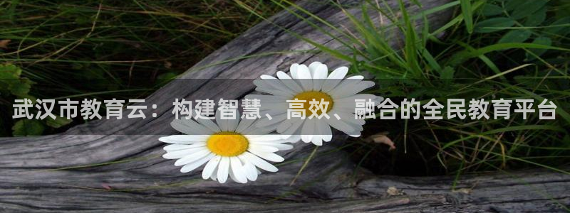 新宝5如何下载