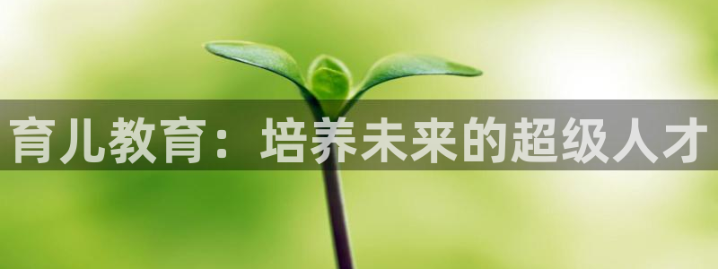 新宝5手机平台登陆