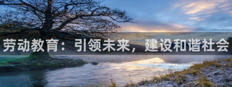 新宝5app手机下载