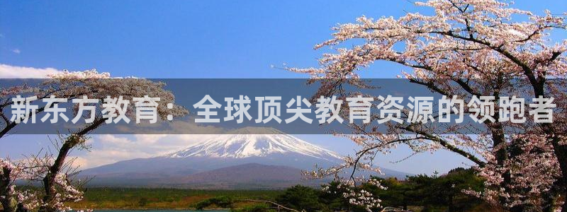 新宝5侹刔
