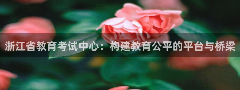 新宝5玩法