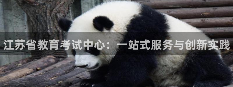 新宝5怎么下载到桌面