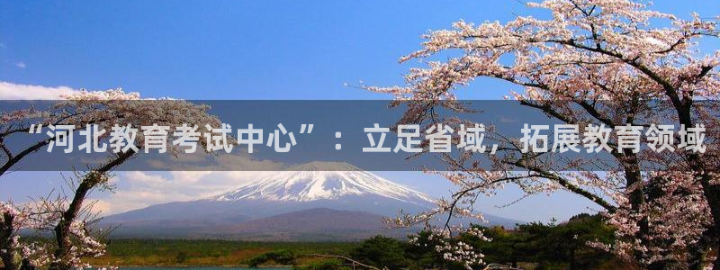 新宝5下载 迅雷下载