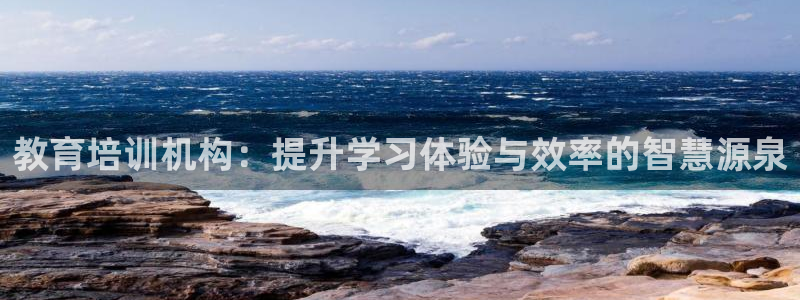 新宝5登陆地址