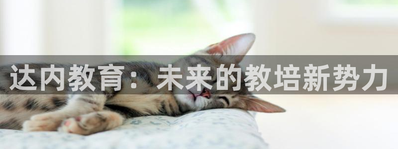 新宝5彩票是正规平台吗