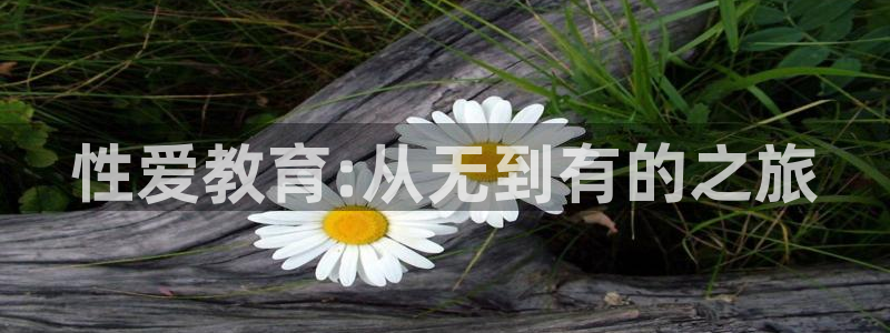 新宝5测速登陆