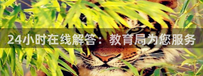 新宝娱乐5入口