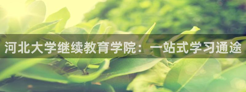 新宝5娱乐招商