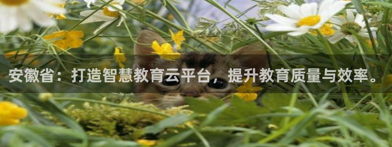 新宝5娱乐然