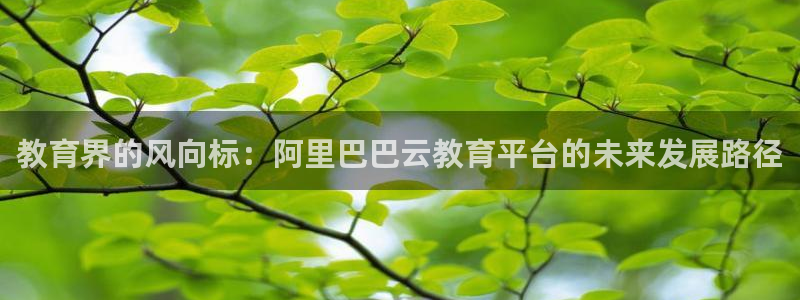 新宝5娱乐没