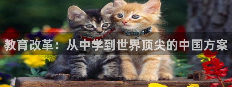 新宝5娱乐网址