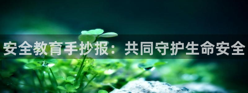新宝5怎么下载到桌面