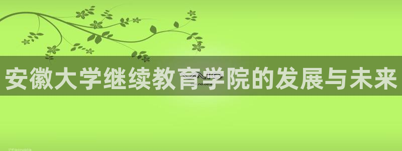 新宝5是谁