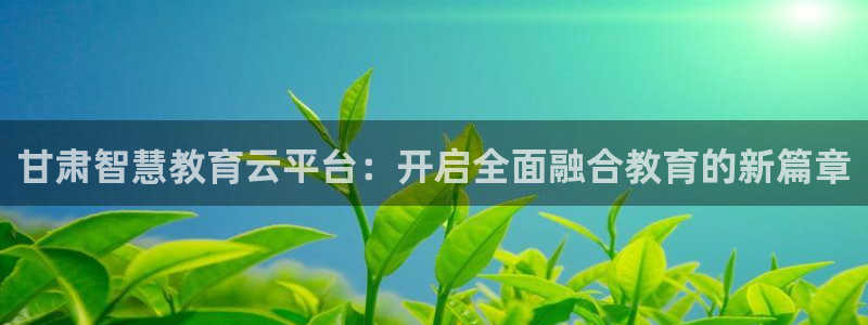 新宝股东王听2 5 5