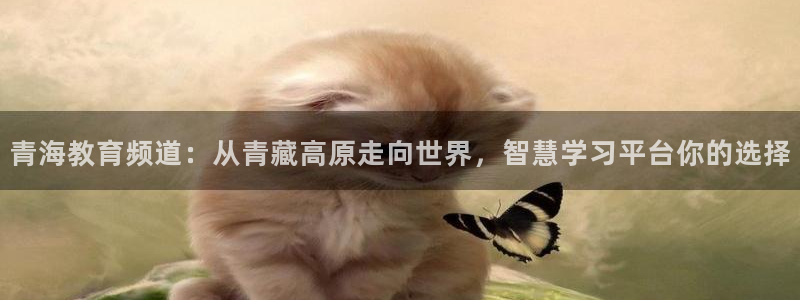 新宝5 - 测速登陆