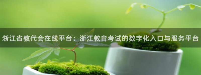 新宝5平棋牌