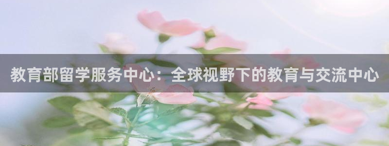 新宝5是什么