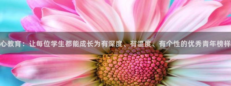 新宝5娱乐学