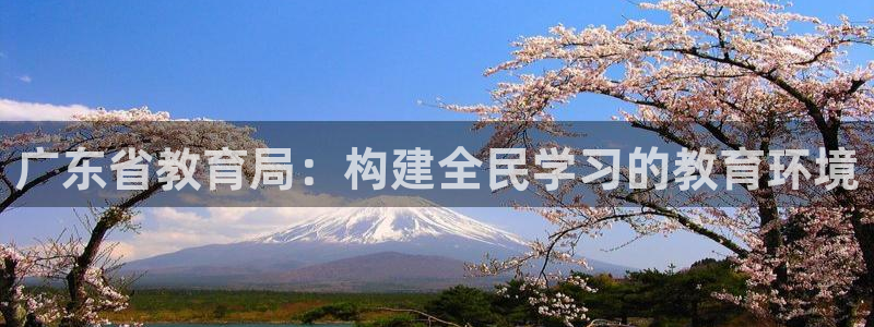 新宝5策略
