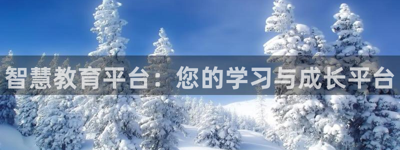 新宝5下载app