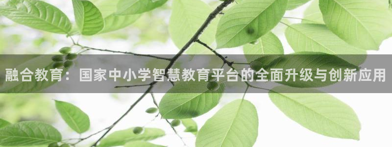 新宝5手机平台登陆
