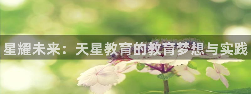 新宝5下载网址