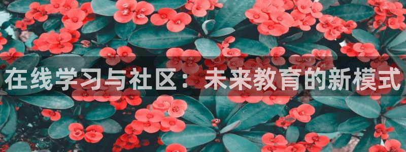 新宝5测