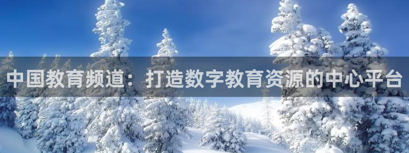 新宝娱乐5
