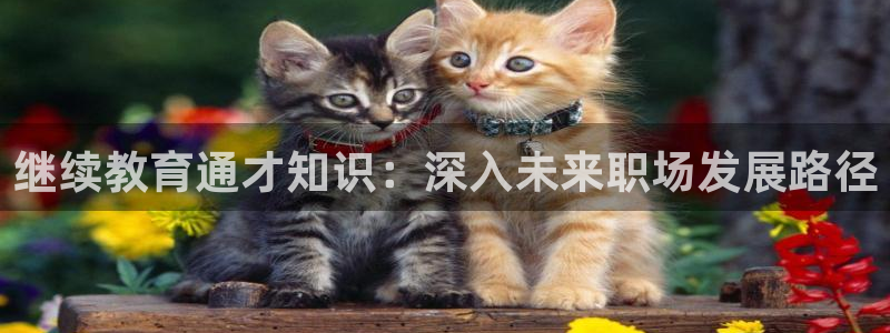 新宝5娱乐登陆