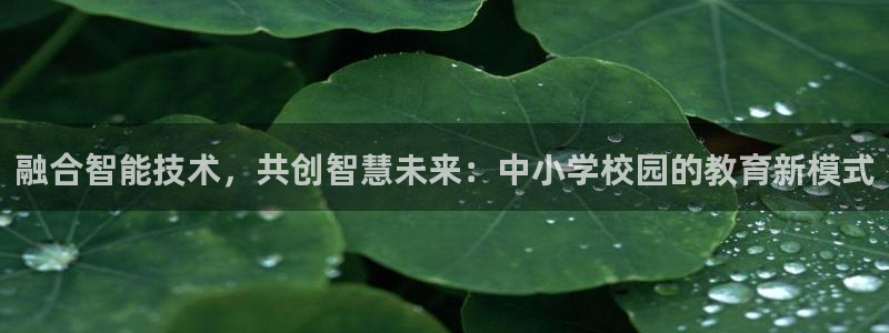 新宝5怎么下载到桌面